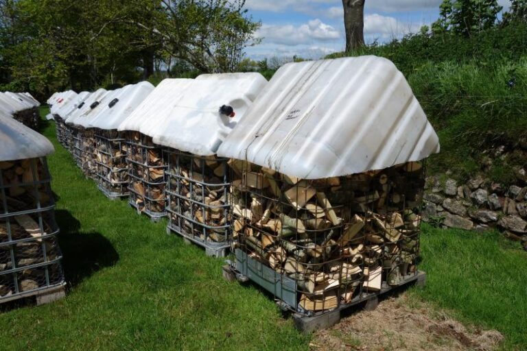 Creativiteit de vrije loop laten: innovatieve ideeën met een IBC container
